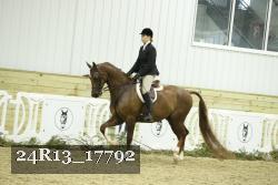 24R13_17792 thumbnail