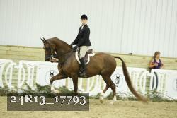 24R13_17793 thumbnail