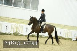 24R13_17794 thumbnail