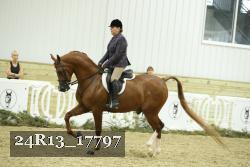 24R13_17797 thumbnail