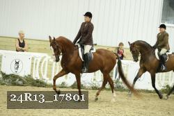 24R13_17801 thumbnail