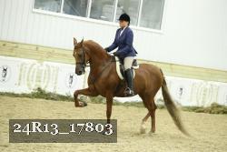 24R13_17803 thumbnail