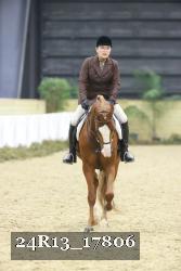 24R13_17806 thumbnail