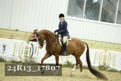 24R13_17807 thumbnail