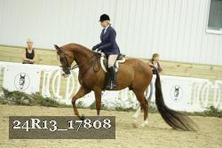 24R13_17808 thumbnail