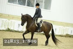 24R13_17809 thumbnail