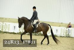 24R13_17811 thumbnail