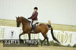 24R13_17815 thumbnail