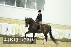 24R13_17816 thumbnail
