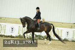 24R13_17817 thumbnail