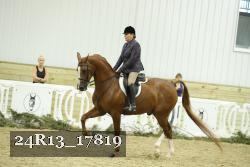 24R13_17819 thumbnail