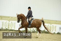 24R13_17820 thumbnail
