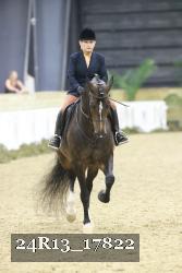 24R13_17822 thumbnail