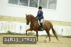 24R13_17823 thumbnail