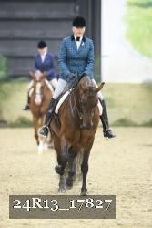 24R13_17827 thumbnail