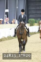 24R13_17829 thumbnail
