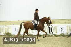 24R13_17834 thumbnail