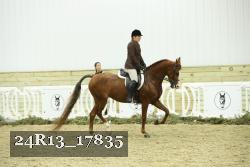 24R13_17835 thumbnail
