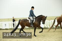24R13_17836 thumbnail