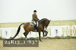 24R13_17837 thumbnail