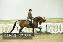 24R13_17838 thumbnail