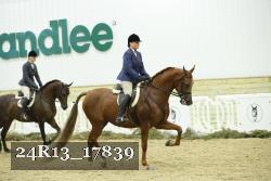 24R13_17839 thumbnail