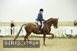 24R13_17840 thumbnail