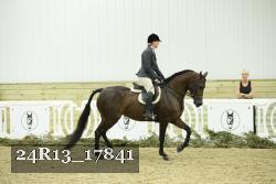 24R13_17841 thumbnail