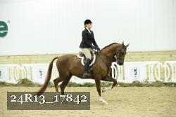 24R13_17842 thumbnail