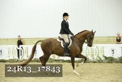 24R13_17843 thumbnail