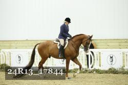 24R13_17844 thumbnail