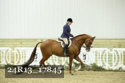24R13_17845 thumbnail