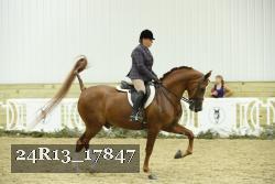 24R13_17847 thumbnail
