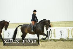 24R13_17850 thumbnail
