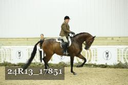 24R13_17851 thumbnail
