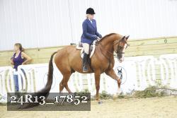 24R13_17852 thumbnail