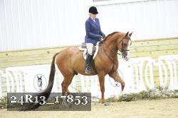 24R13_17853 thumbnail