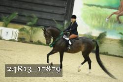 24R13_17879 thumbnail