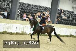 24R13_17880 thumbnail