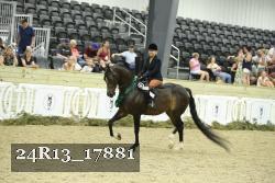 24R13_17881 thumbnail