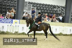 24R13_17882 thumbnail