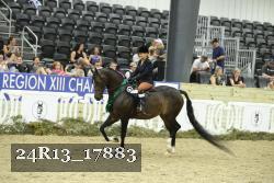 24R13_17883 thumbnail