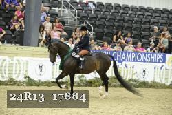 24R13_17884 thumbnail