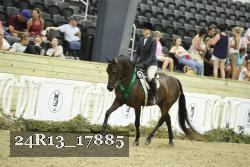 24R13_17885 thumbnail