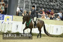 24R13_17886 thumbnail