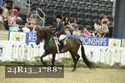 24R13_17887 thumbnail