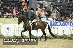 24R13_17888 thumbnail