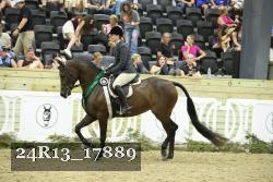 24R13_17889 thumbnail