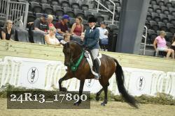 24R13_17890 thumbnail