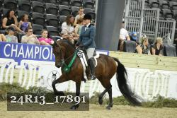 24R13_17891 thumbnail